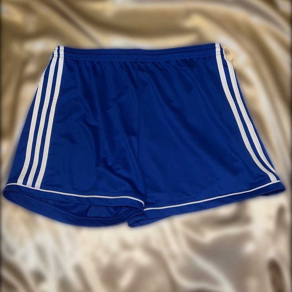 Adidas Blue and White Squadra 17 Shorts